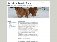 het-bossche-front.net