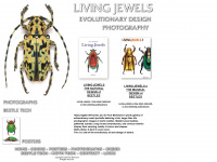living-jewels.com Webseite Vorschau