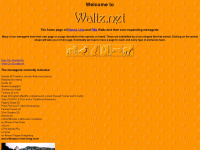 waltz.net Webseite Vorschau