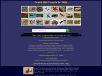 fossilmall.com Webseite Vorschau