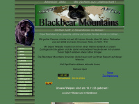 akita-blackbear-mountains.com Webseite Vorschau