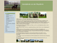islandpferde-waydbrink.de Webseite Vorschau