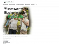 schuessler-salze-service.de Webseite Vorschau