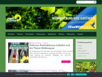 gruene-haltern.de Webseite Vorschau