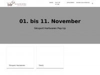 dive.baersport.ch Webseite Vorschau