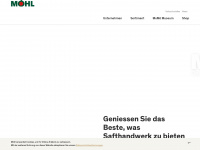 moehl.ch Webseite Vorschau