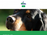 heldenhunde.de Webseite Vorschau