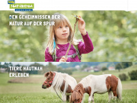 naturena.ch Webseite Vorschau