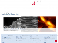 biophysik.uni-bremen.de Webseite Vorschau