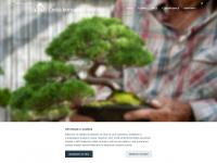 cba-bonsai.cz Webseite Vorschau