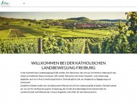 klb-freiburg.de Webseite Vorschau