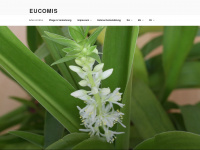 eucomis.de Webseite Vorschau