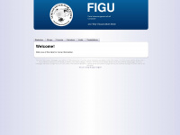 figu.org Webseite Vorschau