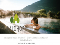 hotelwaldhof.com Webseite Vorschau