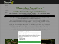 linserhof.it Webseite Vorschau