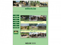 willovb.be Webseite Vorschau