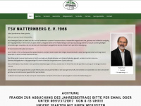 tsv-natternberg.de Webseite Vorschau