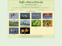 hajo-naturfoto.de Webseite Vorschau