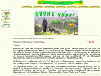 gruene-huegel.de Webseite Vorschau