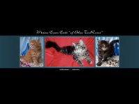 mainecoons-of-blue-tinroses.de Thumbnail