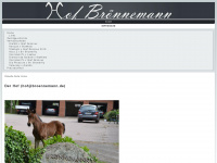 broennemann.de Webseite Vorschau