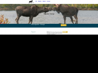 moosepark.net Webseite Vorschau