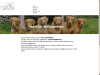 natterer-hunde.de Webseite Vorschau