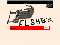 flshbx.de Webseite Vorschau