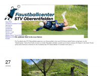 faustballcenter.ch Webseite Vorschau