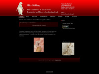mike-kuehling.de Webseite Vorschau