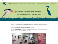 nkm-niebuell.de Webseite Vorschau
