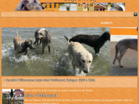 irish-wolfhound-samswegen.de Webseite Vorschau