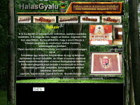 halasgyalu.hu Webseite Vorschau