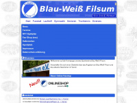 bwfilsum.de Webseite Vorschau
