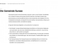 kssursee.ch Webseite Vorschau