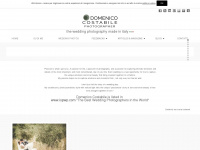 domenicocostabile.com Webseite Vorschau