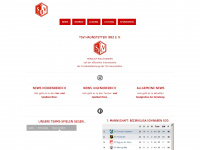 tsvhaunstetten-fussball.de Webseite Vorschau