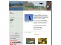 vogelwelt-wendland.de Webseite Vorschau
