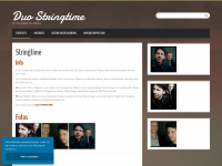duo-stringtime.de Webseite Vorschau