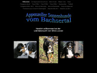 bachsertal.ch Thumbnail