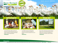 bauer-berrisch.de Webseite Vorschau