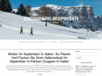 snowpark-bispingen.de Webseite Vorschau
