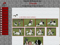 friends-hunde.de Webseite Vorschau