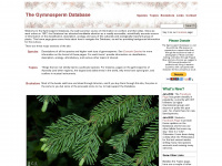 conifers.org Thumbnail