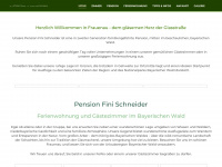pension-fini-schneider.de Webseite Vorschau