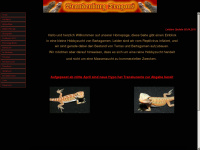 brandenburg-dragons.de Webseite Vorschau