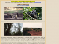 kamerun-reisen.de Webseite Vorschau
