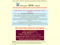 vidovit.com Webseite Vorschau