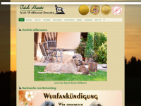 irish-wolfhound-dresden.de Webseite Vorschau