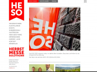 heso.ch Webseite Vorschau